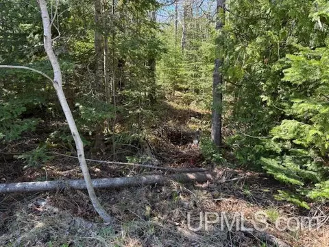 tbd 39 Harbor Coast, Copper Harbor, MI 49918 photo 3
