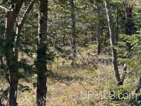 tbd 39 Harbor Coast, Copper Harbor, MI 49918