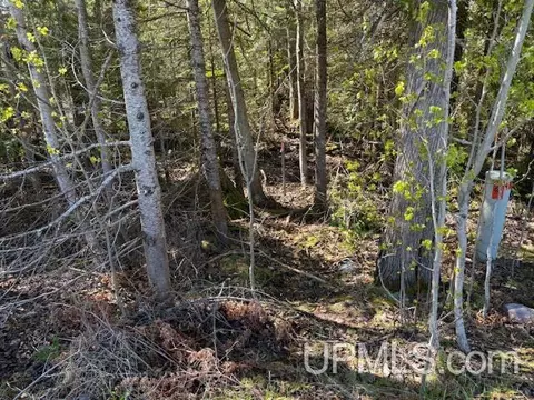 tbd 39 Harbor Coast, Copper Harbor, MI 49918 photo 11