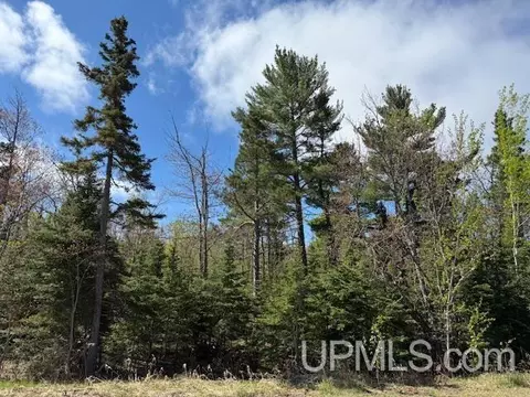 tbd 39 Harbor Coast, Copper Harbor, MI 49918 photo 6