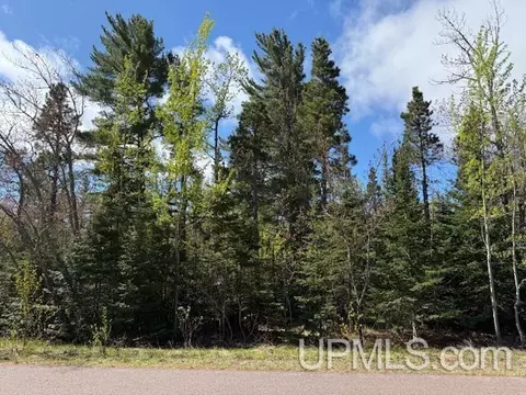 tbd 39 Harbor Coast, Copper Harbor, MI 49918 photo 8
