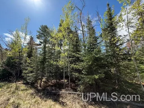 tbd 39 Harbor Coast, Copper Harbor, MI 49918 photo 4