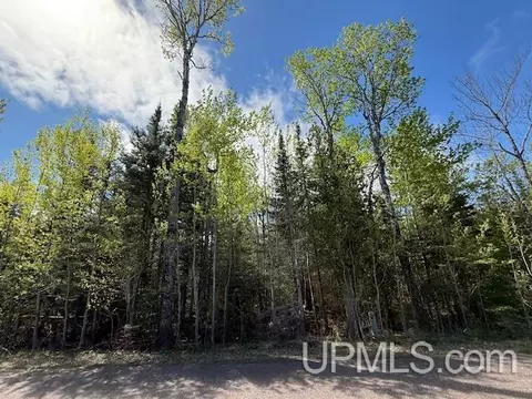 tbd 39 Harbor Coast, Copper Harbor, MI 49918 photo 14