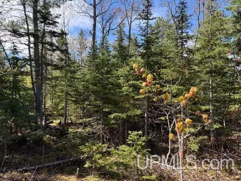 tbd 39 Harbor Coast, Copper Harbor, MI 49918 photo 9