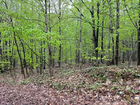tbd Harborview #LOT 9-11, Munising, MI 49862