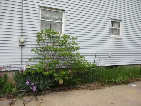 Exterior - 312 Leland, Flushing, MI 48433 photo 3 of 11