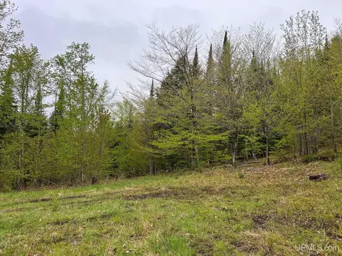 tbd Harborview #LOT 12, Munising, MI 49862