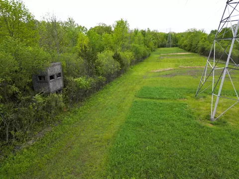 1252 E Frances, Mount Morris, MI 48458 photo 14