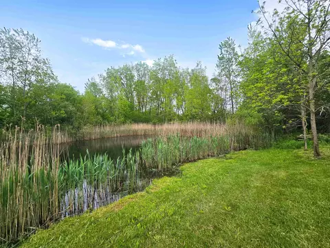 1252 E Frances, Mount Morris, MI 48458 photo 16