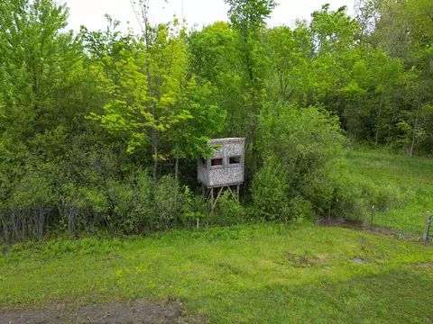 1252 E Frances, Mount Morris, MI 48458 photo 13