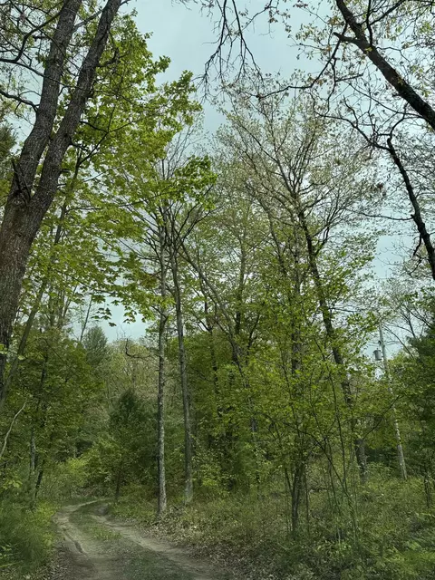 1220 Peasley, Harrison, MI 48625 photo 26