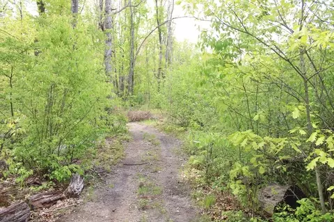 Other - Undisclosed, Harrison, MI 48625 photo 4 of 4