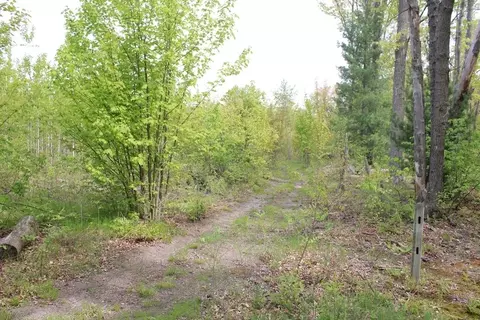 Exterior - Undisclosed, Harrison, MI 48625 photo 6 of 6