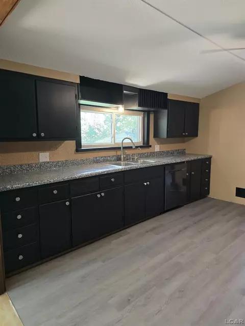 124 N Madison, Adrian, MI 49221 photo 4