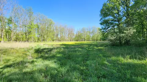 8238 Thornapple Lk, Nashville, MI 49073