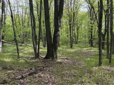 lot S 383 384 Dogwood, Farwell, MI 48622
