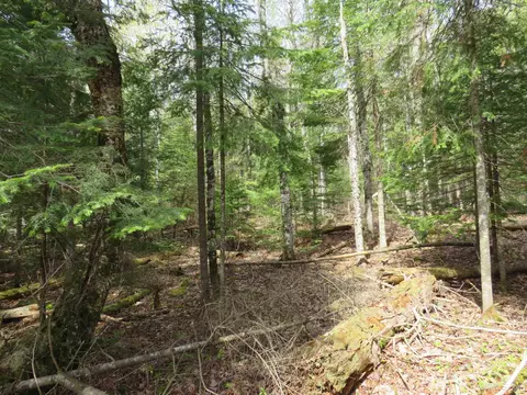 Parcel 10 Vicks, L'anse, MI 49946 photo 24