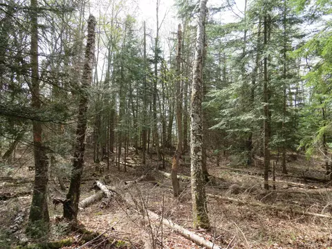 Parcel 10 Vicks, L'anse, MI 49946 photo 20