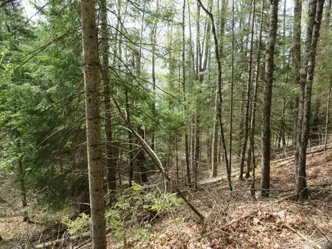 Parcel 10 Vicks, L'anse, MI 49946 photo 19