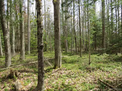 Parcel 10 Vicks, L'anse, MI 49946 photo 38