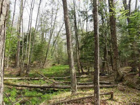Parcel 10 Vicks, L'anse, MI 49946 photo 14