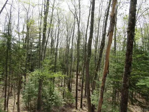 Parcel 10 Vicks, L'anse, MI 49946 photo 36