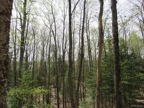 Parcel 10 Vicks, L'anse, MI 49946 photo 35