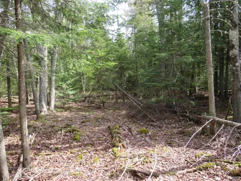 Parcel 10 Vicks, L'anse, MI 49946 photo 23