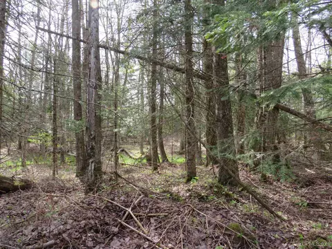 Parcel 10 Vicks, L'anse, MI 49946 photo 13