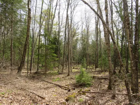 Parcel 10 Vicks, L'anse, MI 49946 photo 31