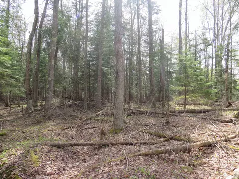 Parcel 10 Vicks, L'anse, MI 49946 photo 15