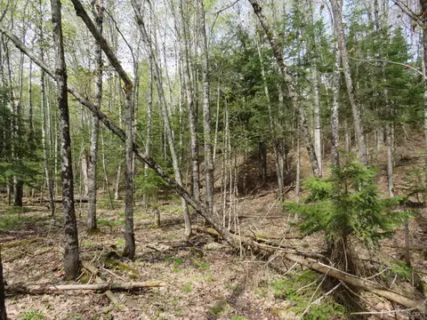 Parcel 10 Vicks, L'anse, MI 49946 photo 30