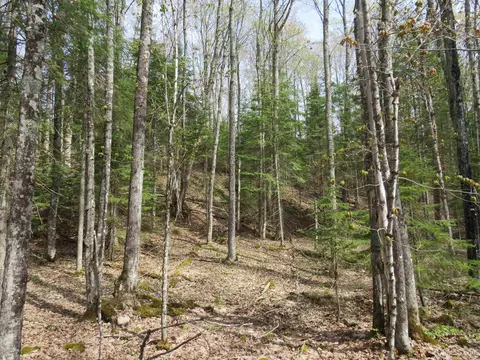 Parcel 10 Vicks, L'anse, MI 49946 photo 29