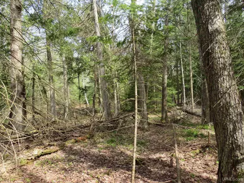 Parcel 10 Vicks, L'anse, MI 49946 photo 40