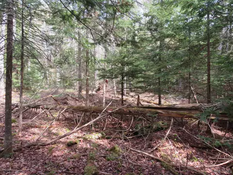 Parcel 10 Vicks, L'anse, MI 49946 photo 27
