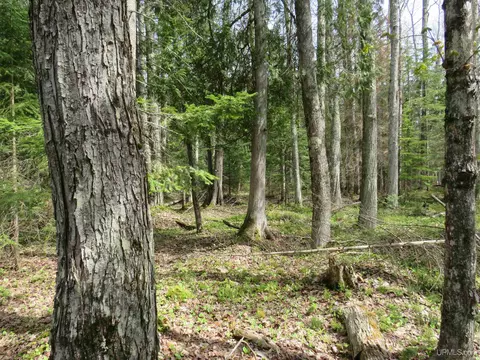 Parcel 10 Vicks, L'anse, MI 49946 photo 39