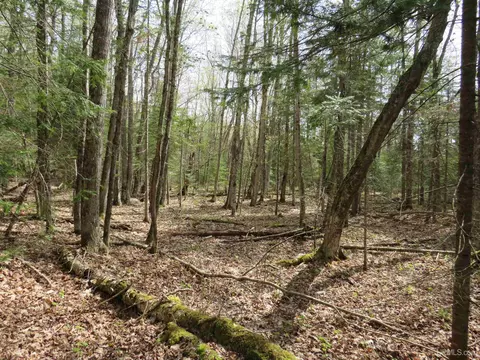 Parcel 10 Vicks, L'anse, MI 49946 photo 21
