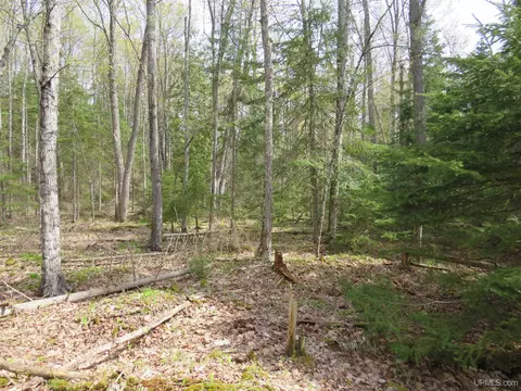 Parcel 10 Vicks, L'anse, MI 49946 photo 28
