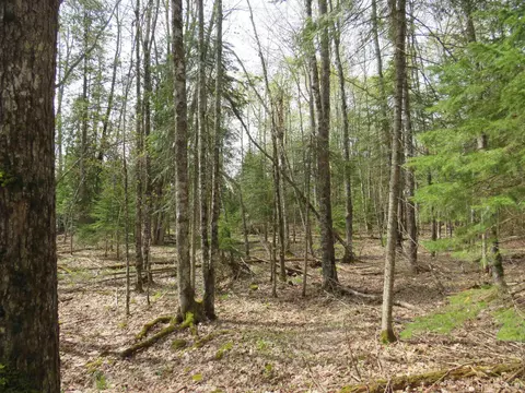 Parcel 10 Vicks, L'anse, MI 49946 photo 33