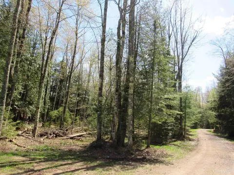 Parcel 10 Vicks, L'anse, MI 49946 photo 10