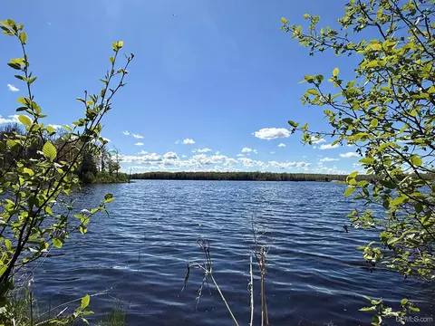 Off Langford Lake, Watersmeet, MI 49969