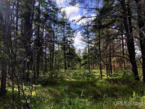 915 N Sporley Lk, Gwinn, MI 49841
