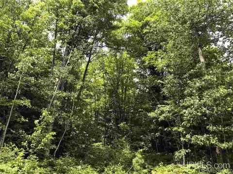 lot H Maple Wood, Gwinn, MI 49841