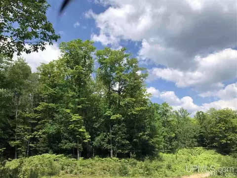 lot G Maple Wood, Gwinn, MI 49841