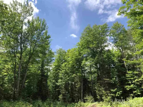 lot F Maple Wood, Gwinn, MI 49841