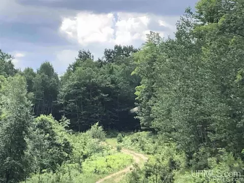 lot J Maple Wood, Gwinn, MI 49841