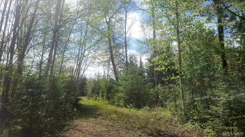 White Birch Road, Dunbar T-wi, WI 54119