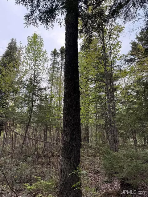 tbd Sandstone, Lake Linden, MI 49945