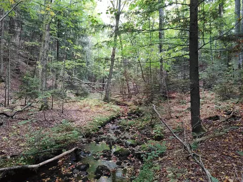 80 Acres Lost Crk, Marquette, MI 49855