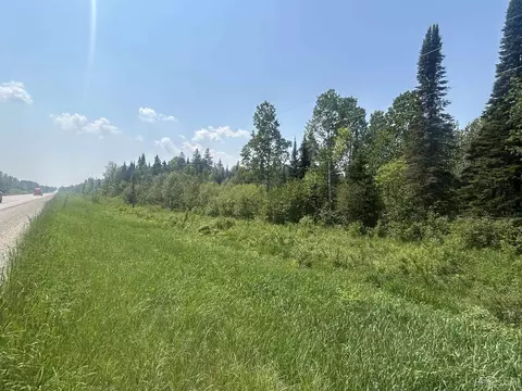 Off M123, Newberry, MI 49868